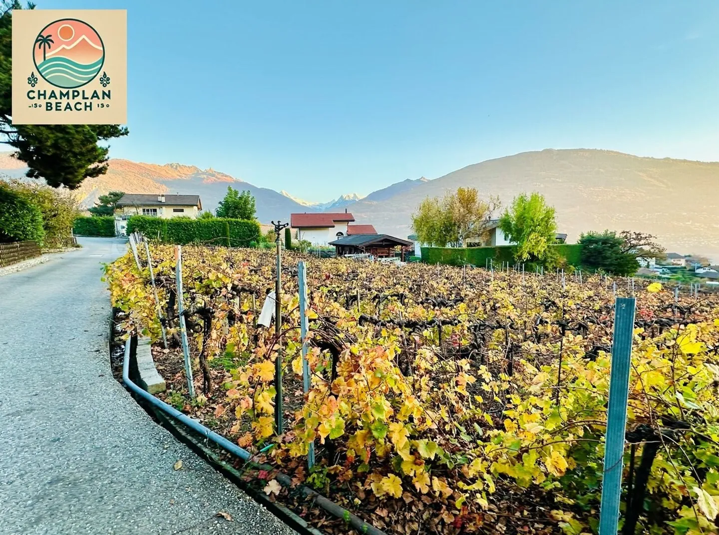 Exclusivity! 3 beautiful plots for sale Champlan - Grimisuat - Photo 5 of 9