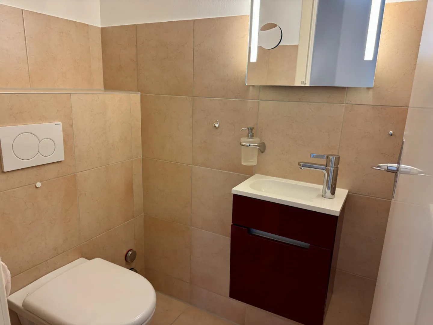Beautiful renovated apartment with large balcony and view of the lake and the Alps - Photo 6 of 8