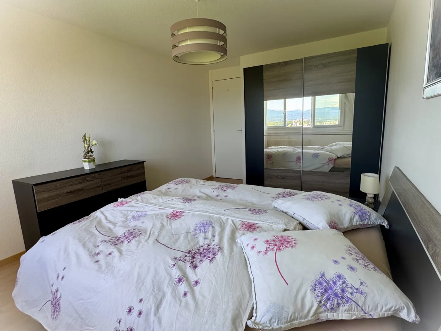 Beautiful renovated apartment with large balcony and view of the lake and the Alps - Photo 7 of 8