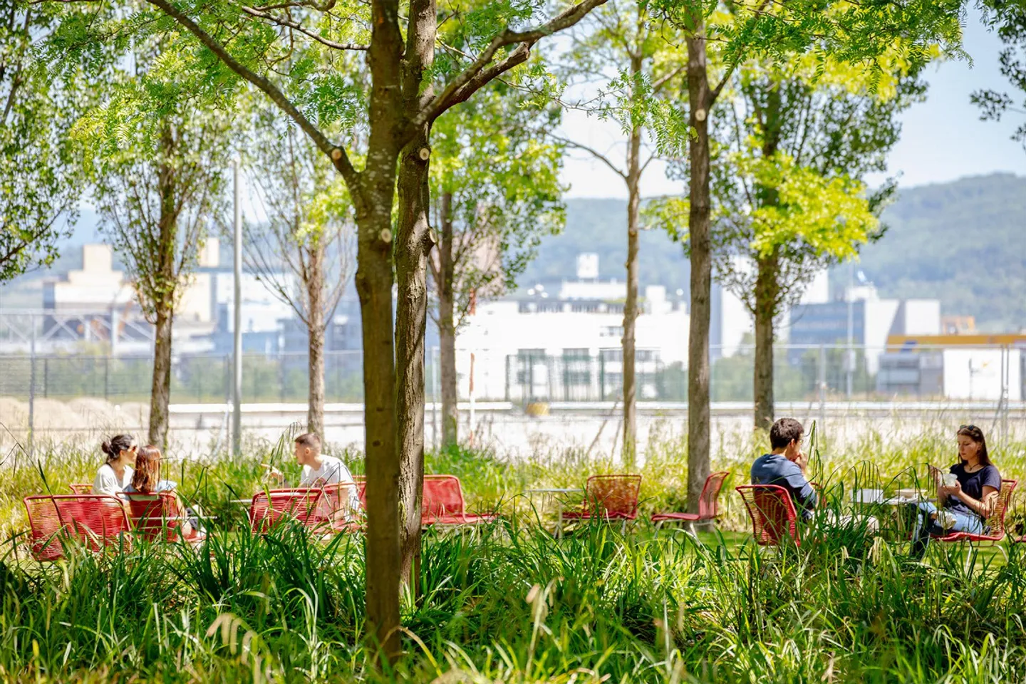 «Arbeiten, wo Innovation zuhause ist - Büroflächen im Novartis Campus» - Foto 7 von 10