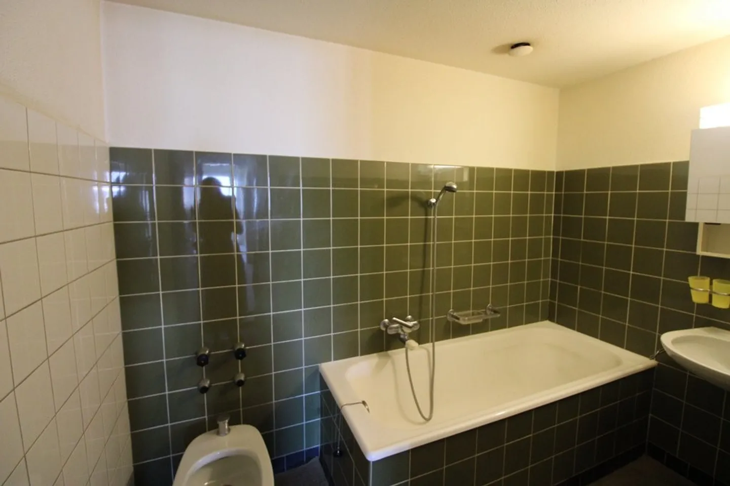 Charming 3-room apartment with lake view - Photo 4 of 6