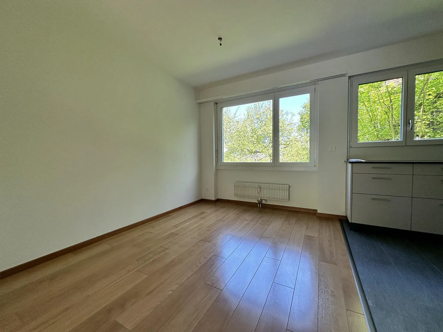 Spazioso, nuovo e una vista MERAVIGLIOSA - Foto 4 di 18