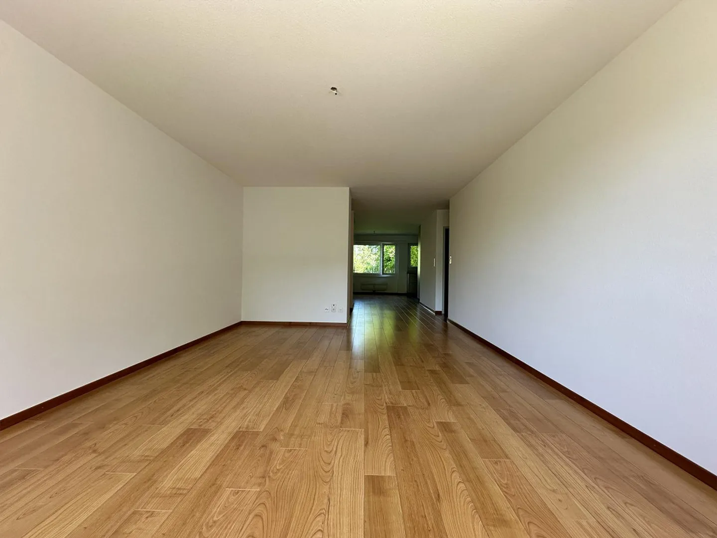 Spazioso, nuovo e una vista MERAVIGLIOSA - Foto 8 di 18