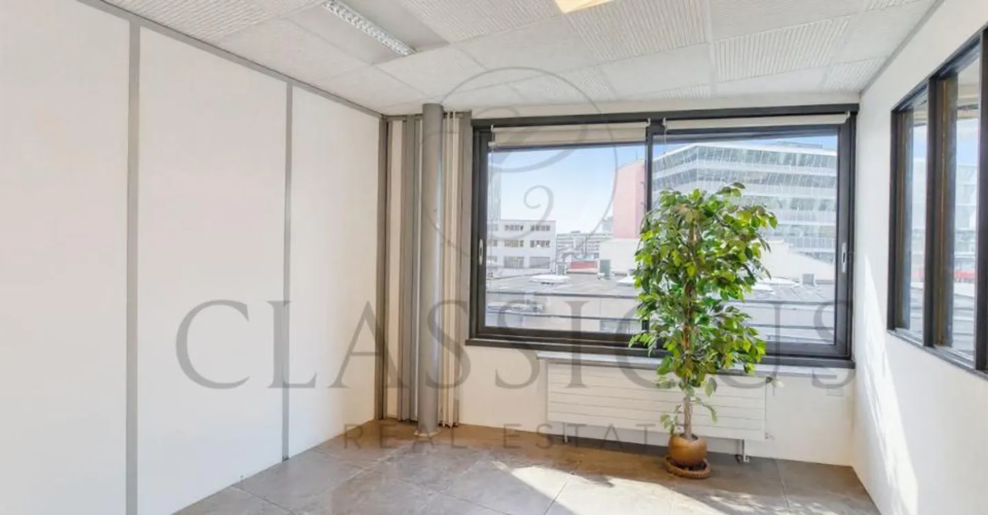 Spazio ufficio in affitto - Foto 3 di 13