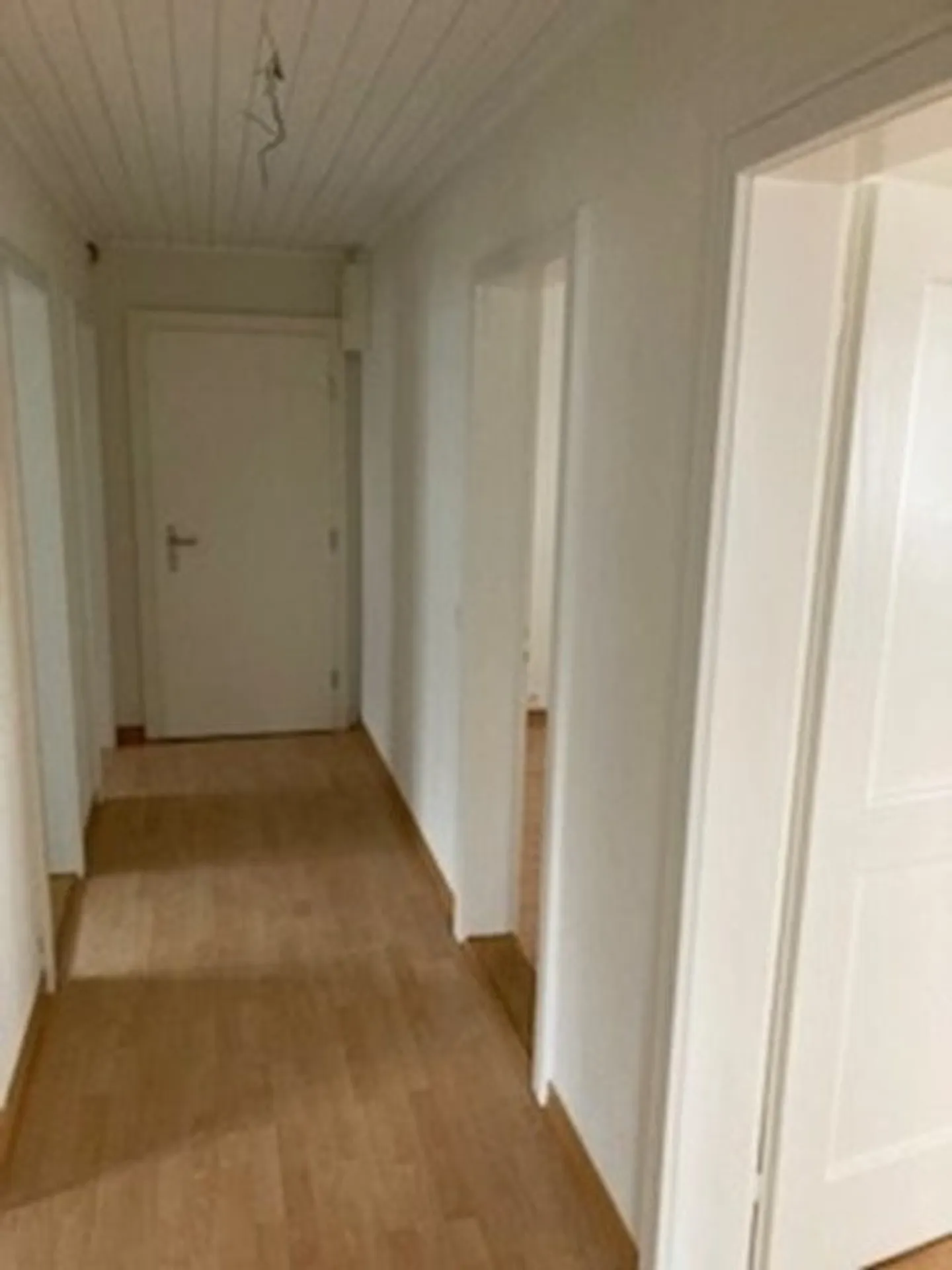 4-ZImmerwohnung in Zollikerberg gesucht? - Foto 8 von 9