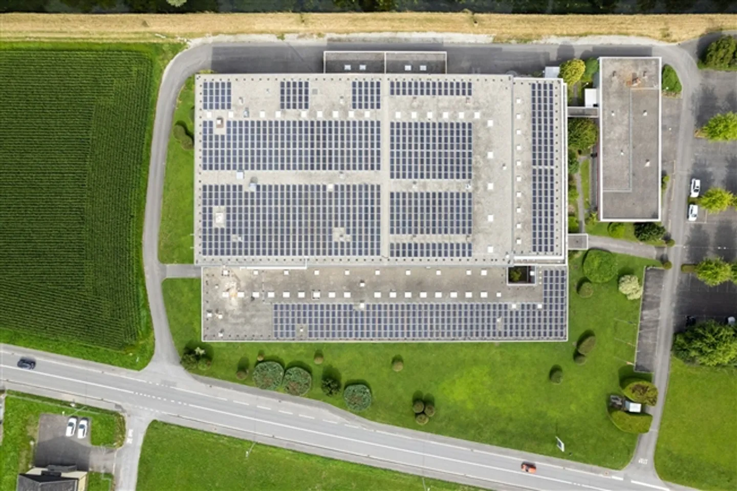 400m2 - Workshop/Production - Entrance Wallis - Photo 3 of 8