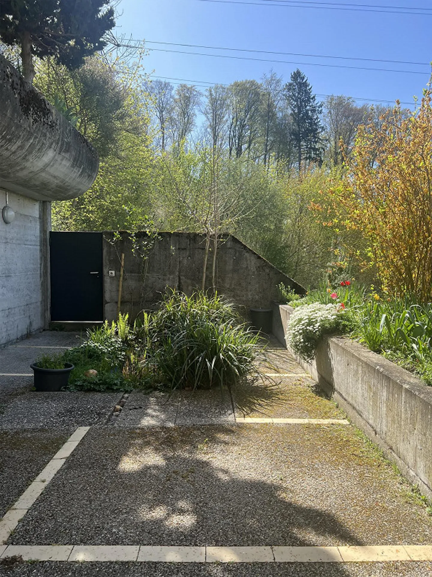 Appartement élégant et lumineux avec terrasse et vue sur la verdure - Photo 1 sur 9