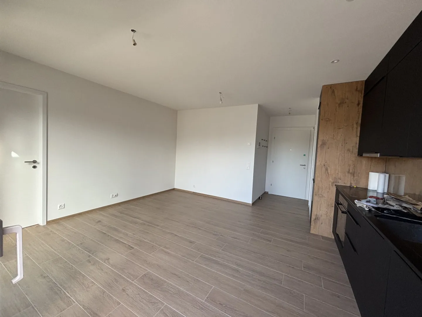 NEW! PENTHOUSE APARTMENT 2 ROOMS - CORSIER (GE) - Photo 3 of 10