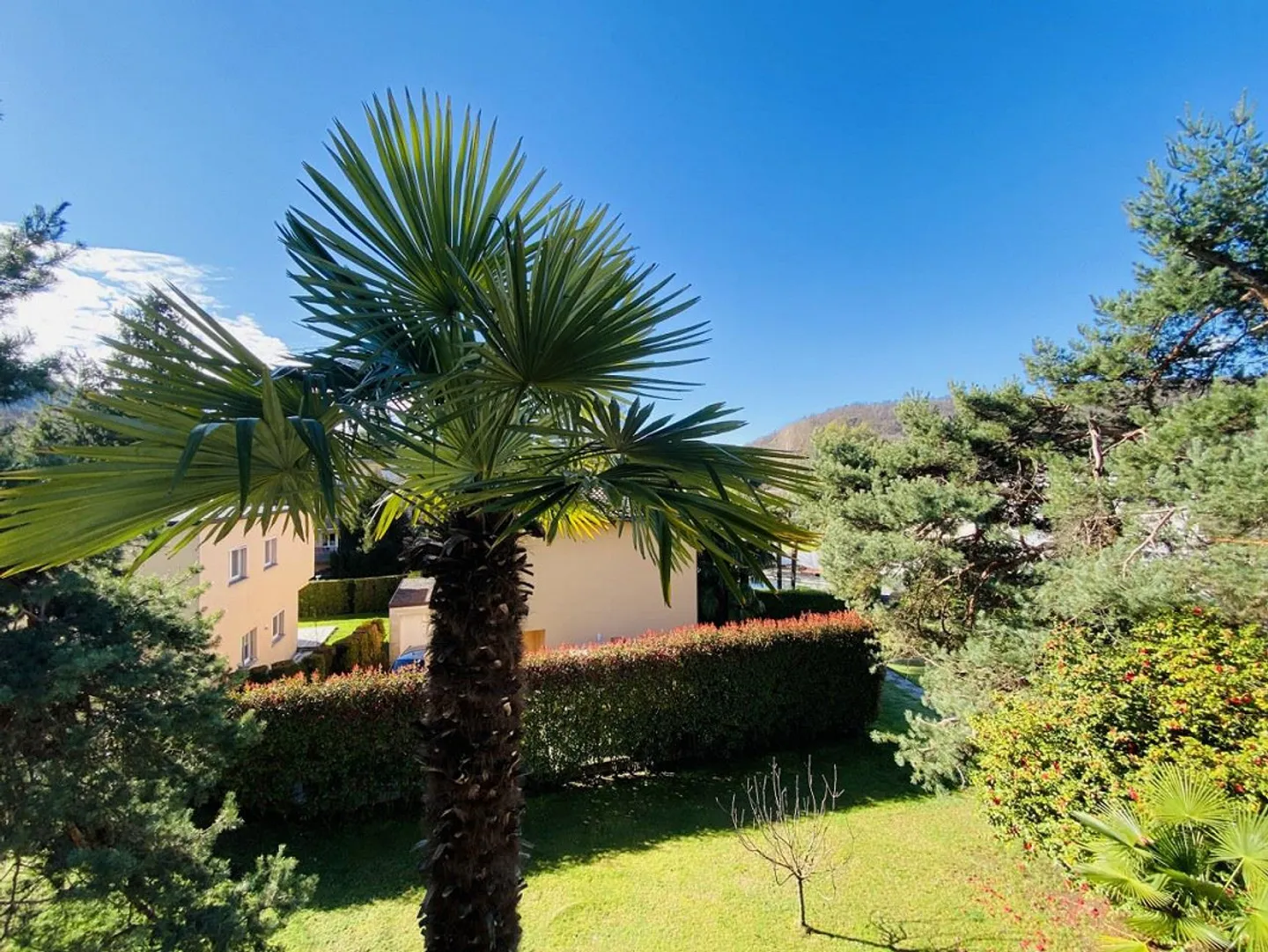 APPARTAMENTO 4.5 STANZE RISTRUTTURATO - PISCINA NEL COMPLESSO RESIDENZIALE - Foto 11 di 11