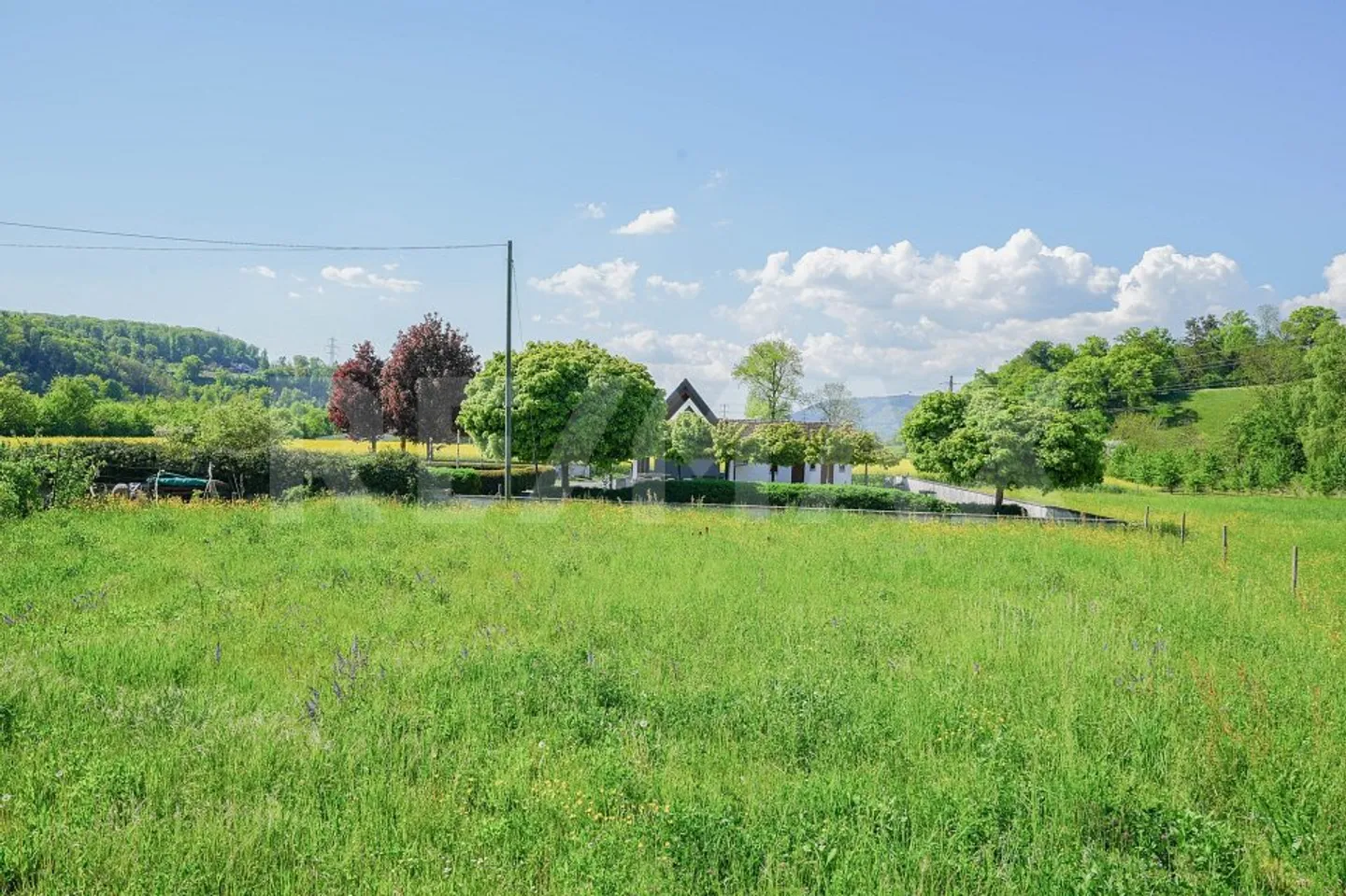 Three new apartments - individual and spacious - Photo 7 of 8