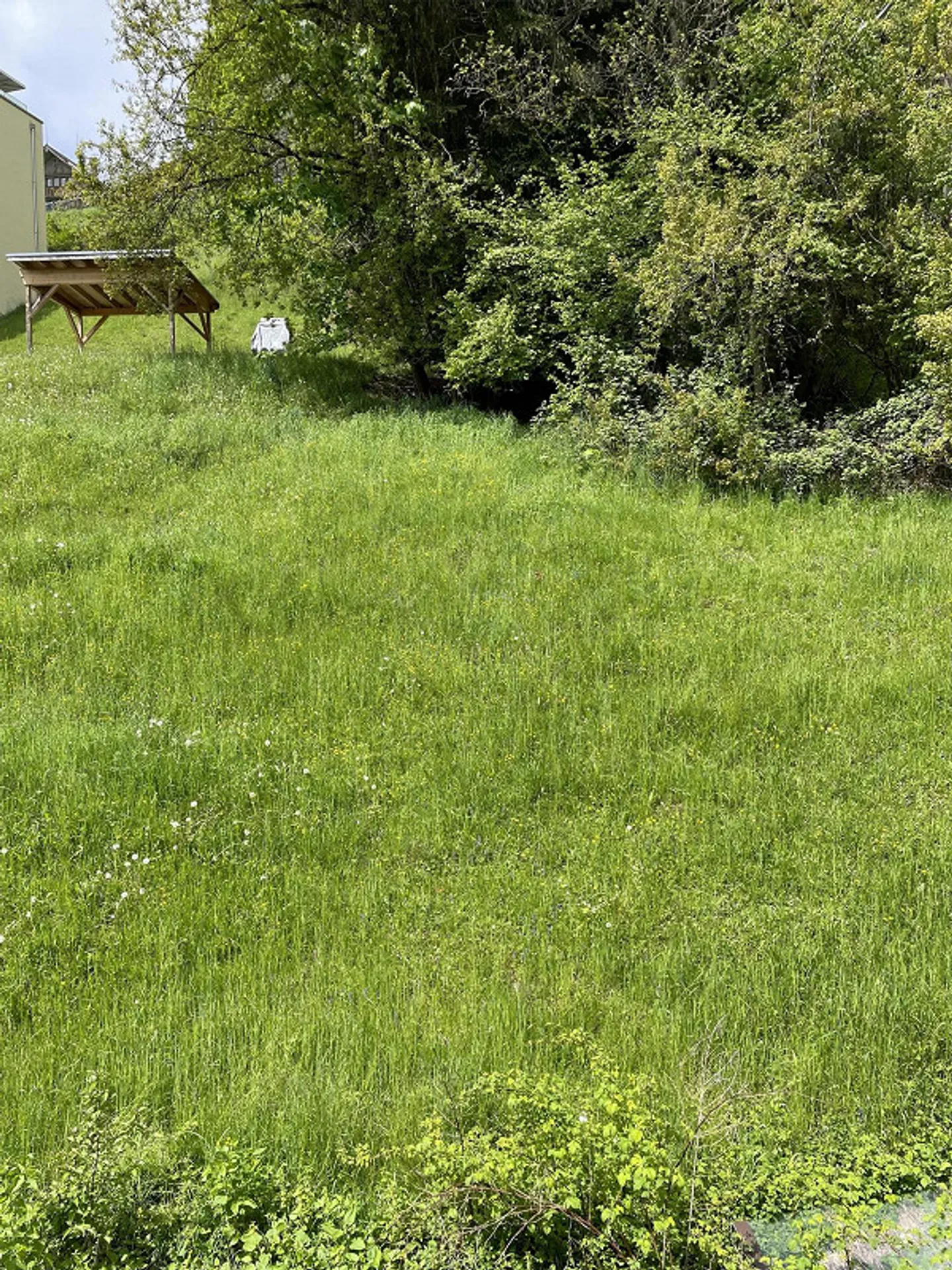 Helle 2.5 Zimmer Wohnung - Foto 6 von 6