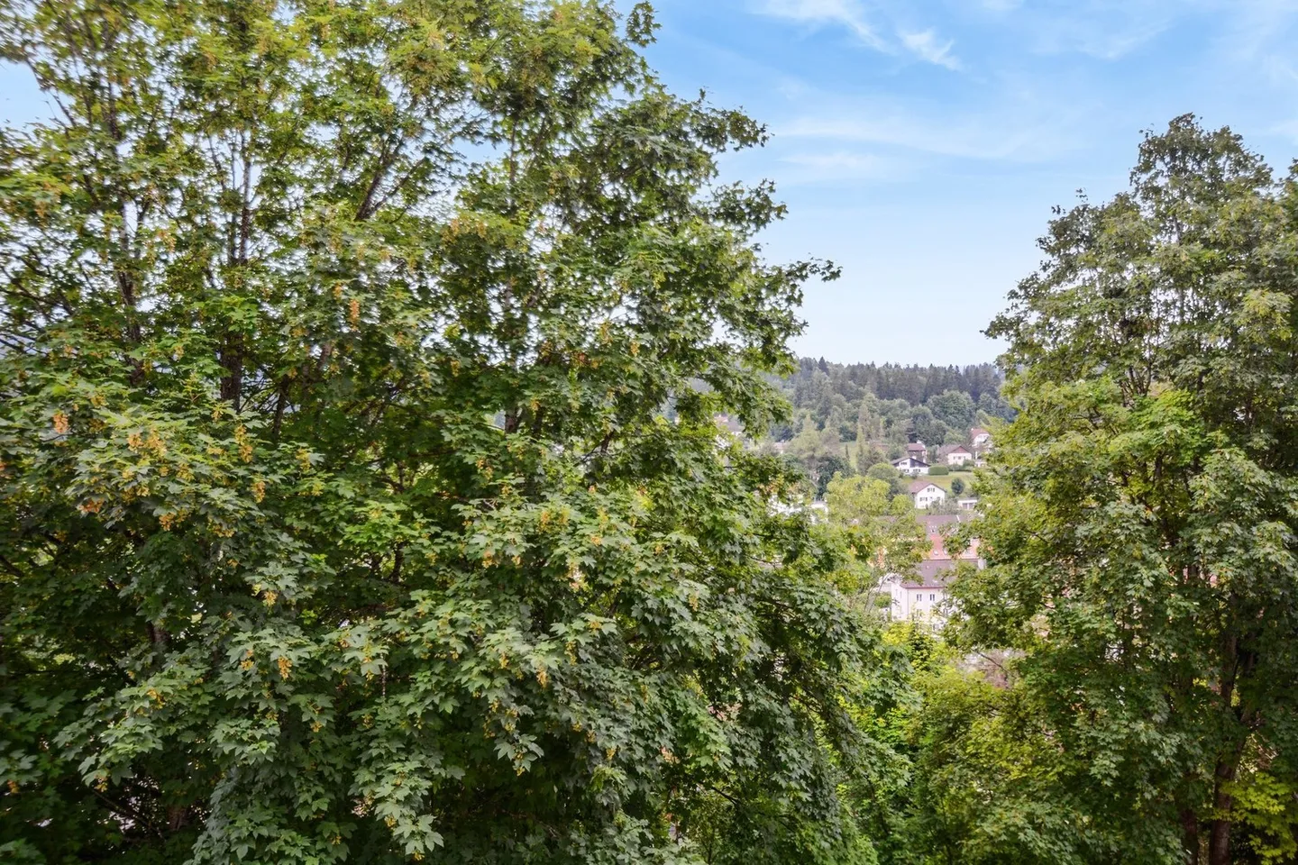 Ristrutturato - Posizione Ideale - Foto 3 di 9