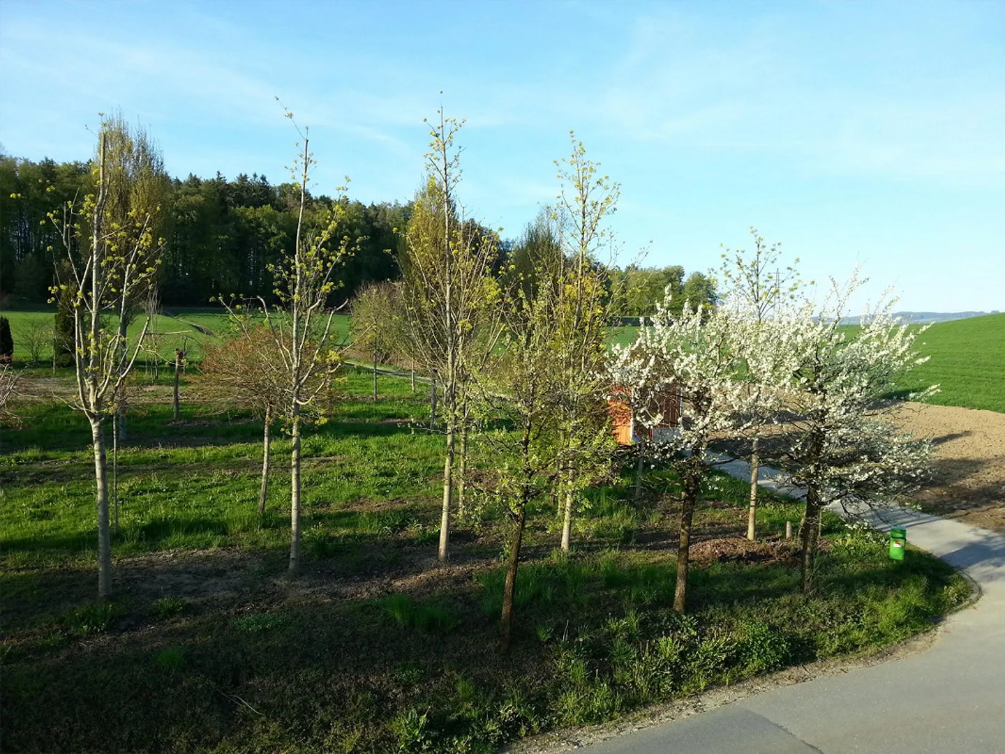 Casa Minergie di 6,5 stanze molto confortevole con vista panoramica - Foto 16 di 19