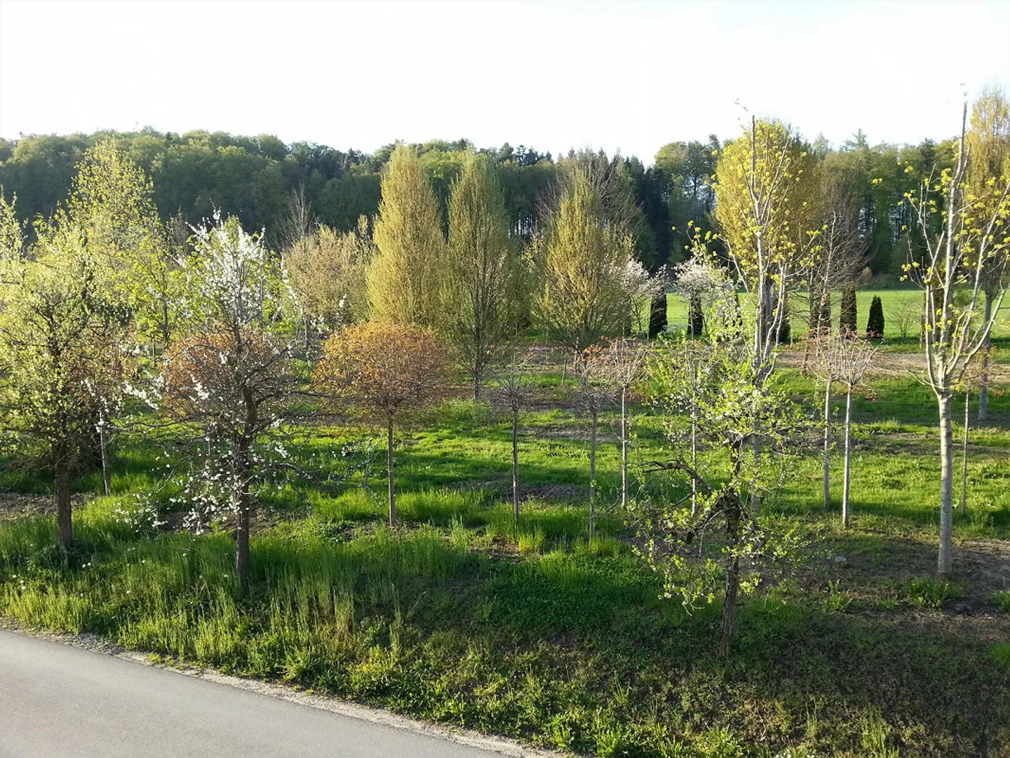 Casa Minergie di 6,5 stanze molto confortevole con vista panoramica - Foto 17 di 19