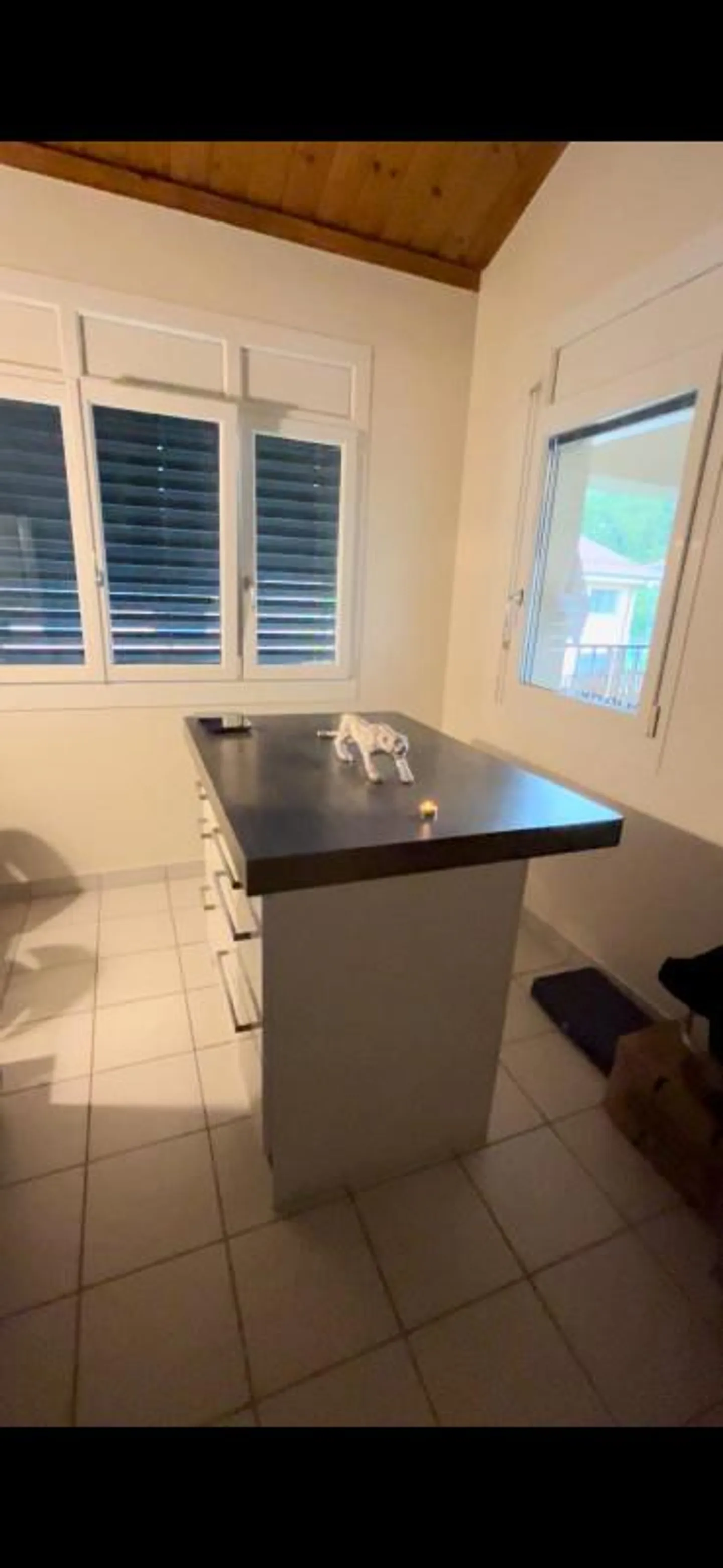 5-room apartment on the 2nd floor located in Onex 1213 - Photo 4 of 5