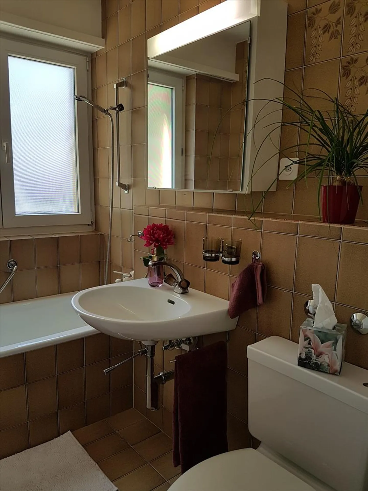 Appartement 1 pièce - Photo 6 sur 7