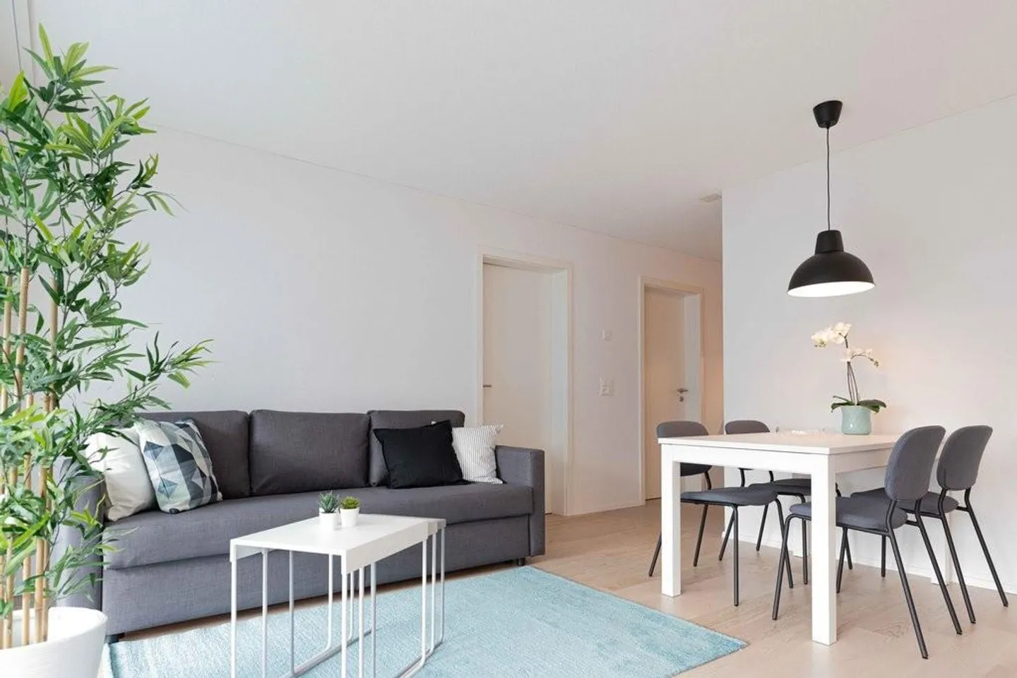 Appartement 2.5 pièces magnifique recherché ? - Photo 3 sur 6