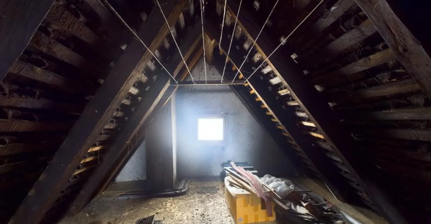 Magnifique et grand immeuble avec un local commercial - Foto 5 di 8