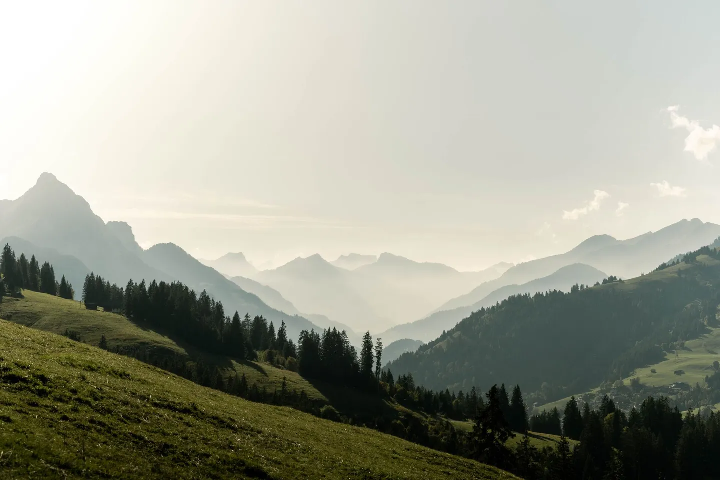 Ski House Kübelialp - Above Saanenmöser - Photo 17 of 17