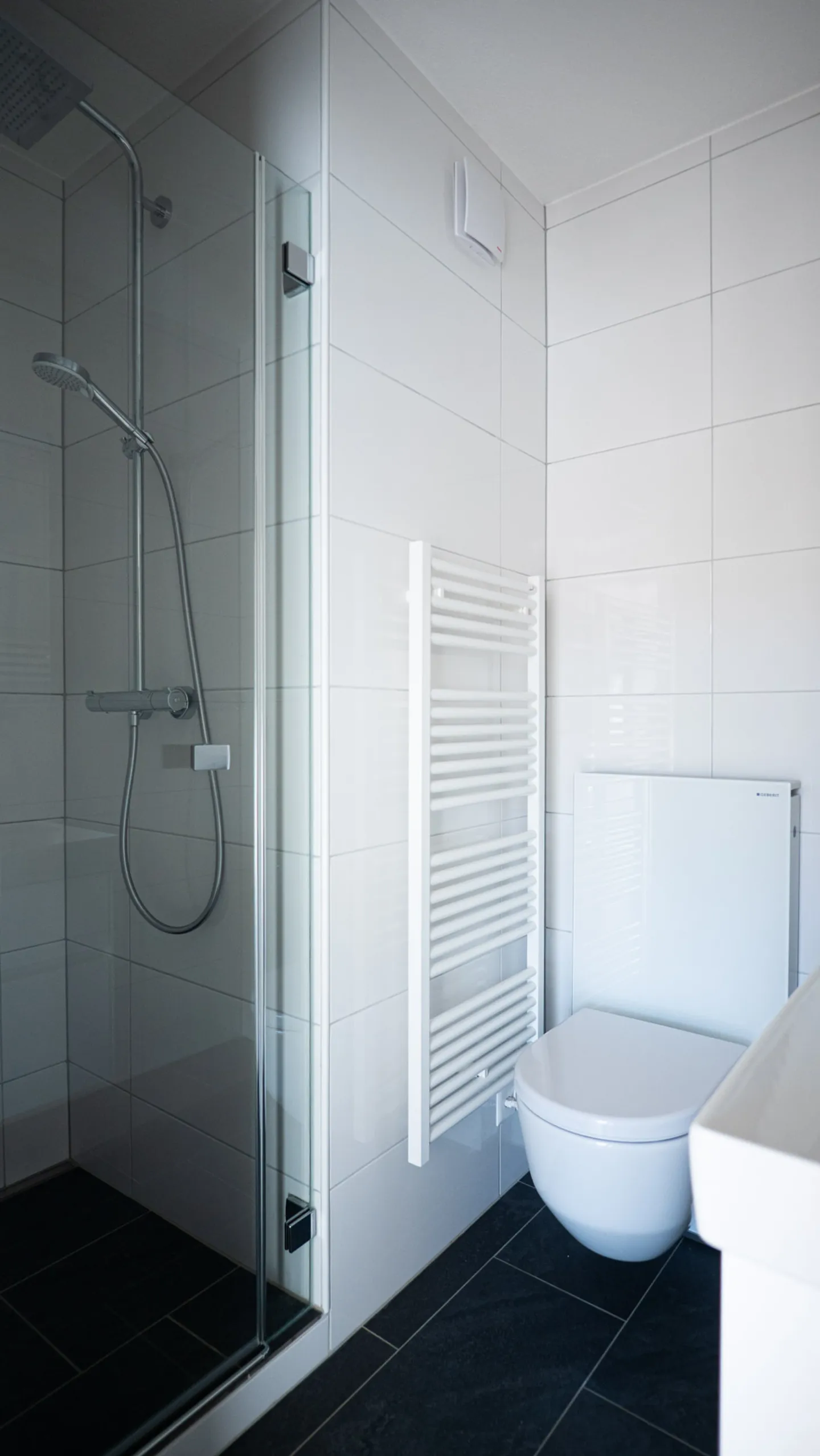 Renovated Apartment in Bassecourt - Photo 2 of 11