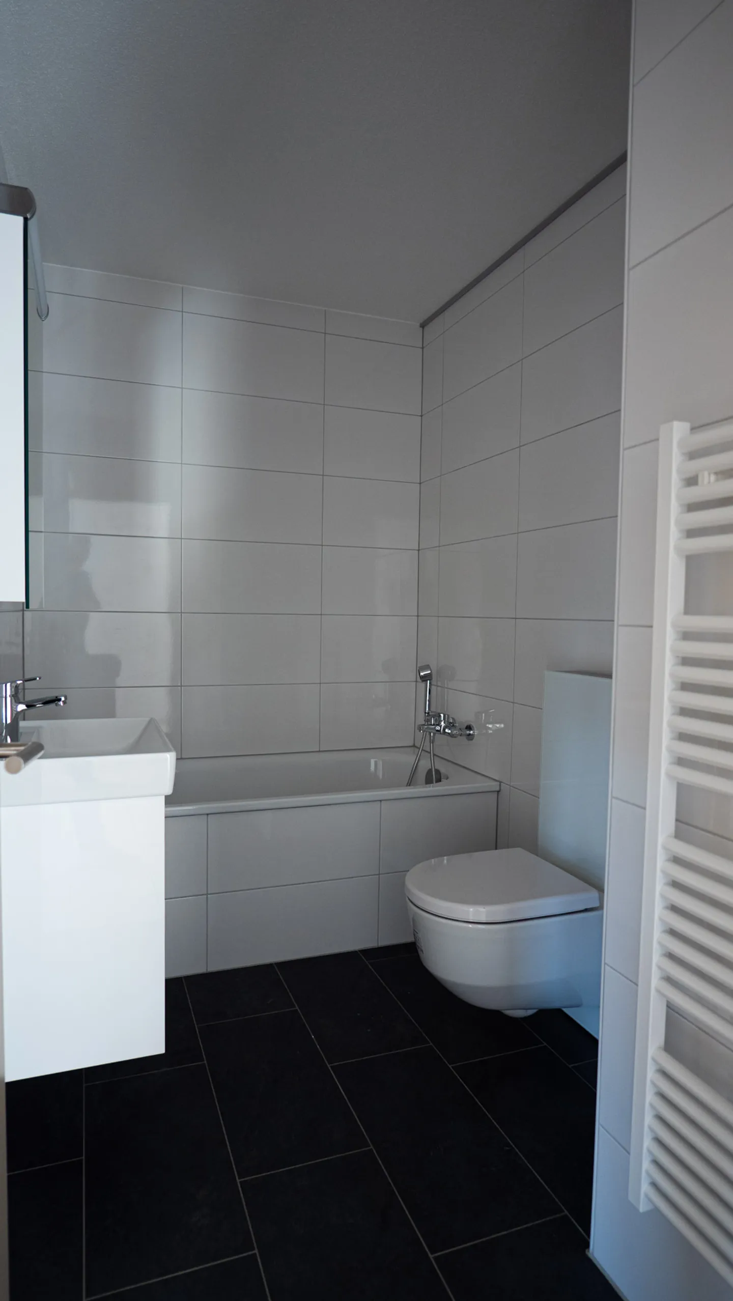 Renovated Apartment in Bassecourt - Photo 3 of 11