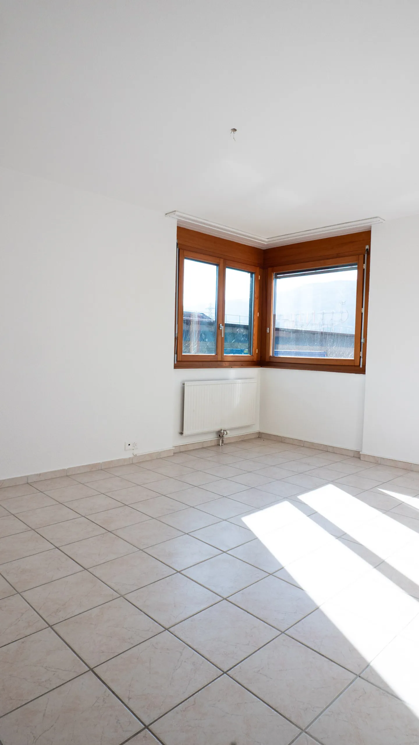 Renovated Apartment in Bassecourt - Photo 9 of 11