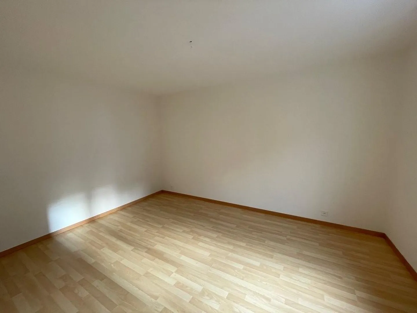 Appartement lumineux avec un emplacement parfait à Saint-Gall - Photo 3 sur 6