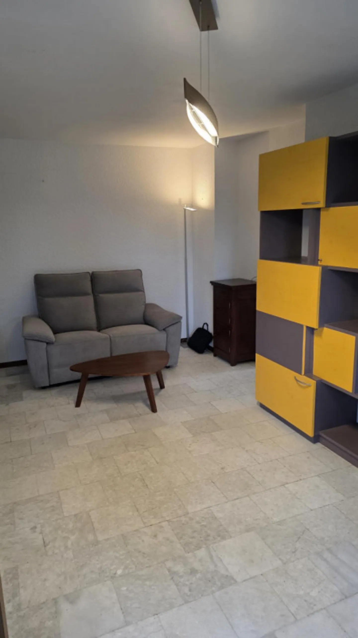 Magnifico appartamento arredato con terrazza di 57m2 a due minuti dal lago/St-Sulpice VD - Foto 6 di 13