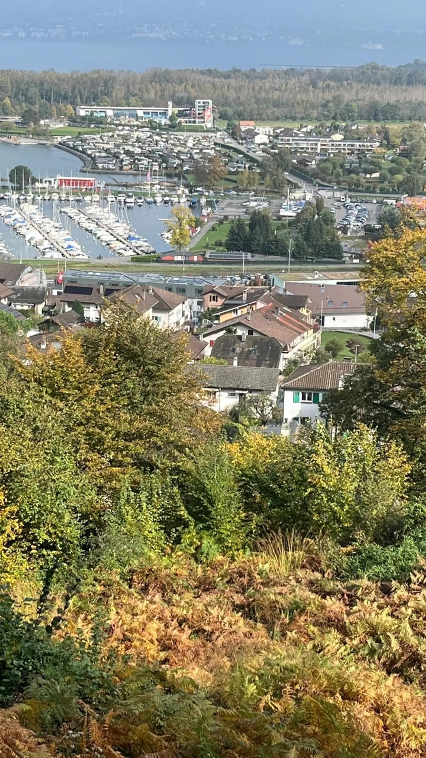 Superbe opportunité : Terrain constructible avec permis en force à vendre au Bouveret - Photo 1 sur 4