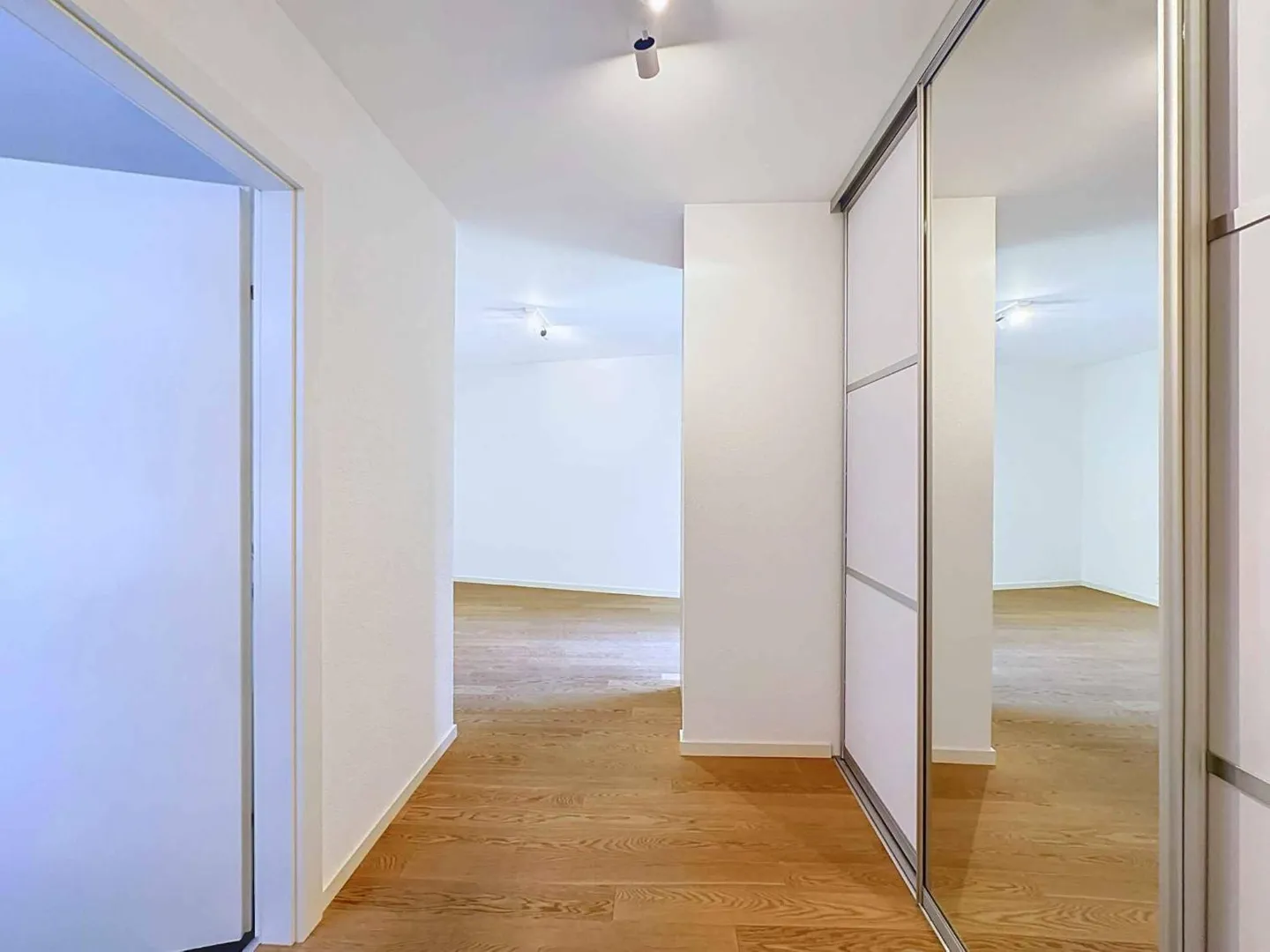 Appartamento spazioso di 5,5 stanze con terrazza e grande giardino - Foto 5 di 7