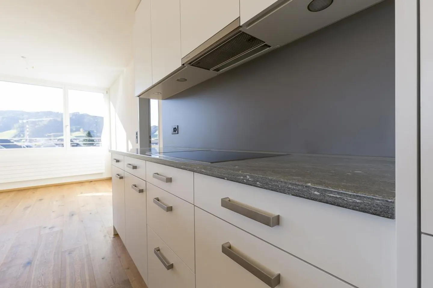 Exclusive penthouse apartment with two terraces - Photo 3 of 12