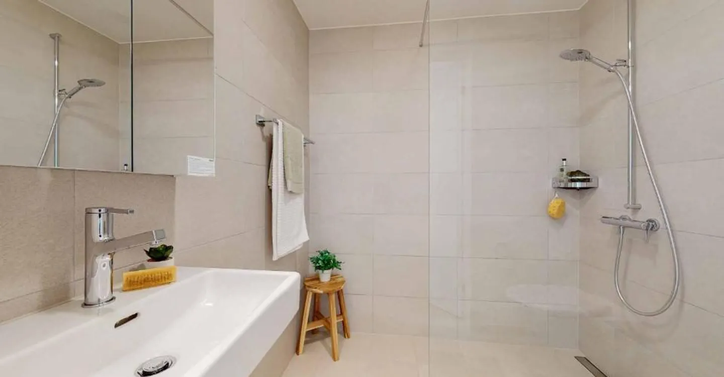 Moderne Wohnung in Allschwil - Foto 2 von 6