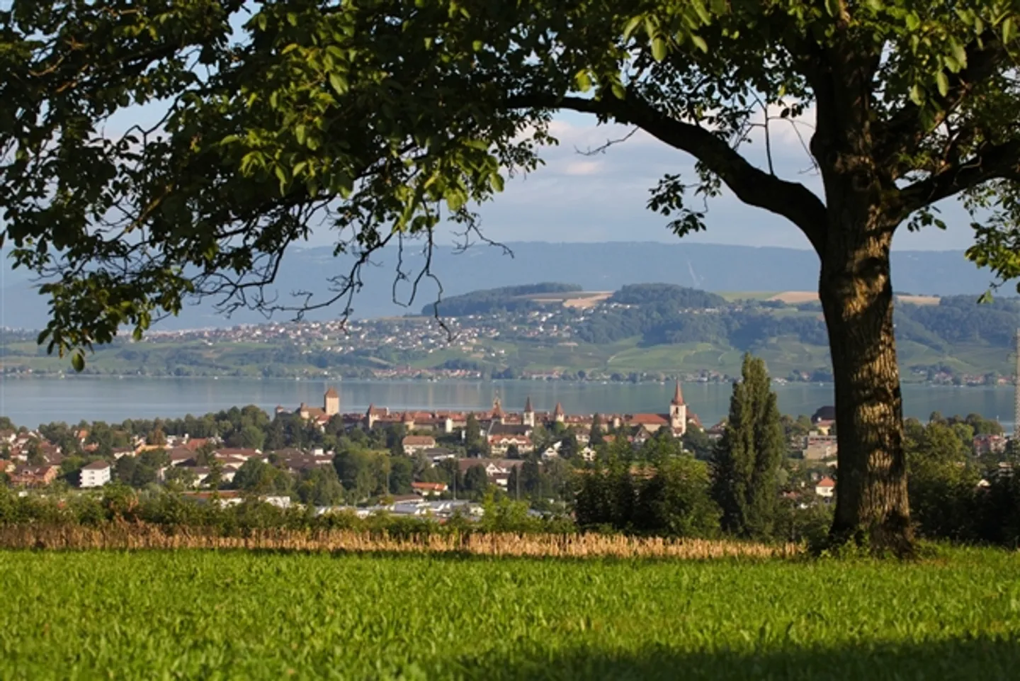 Champ Olivier Living
16 appartamenti
2 spazi commerciali - Foto 12 di 13