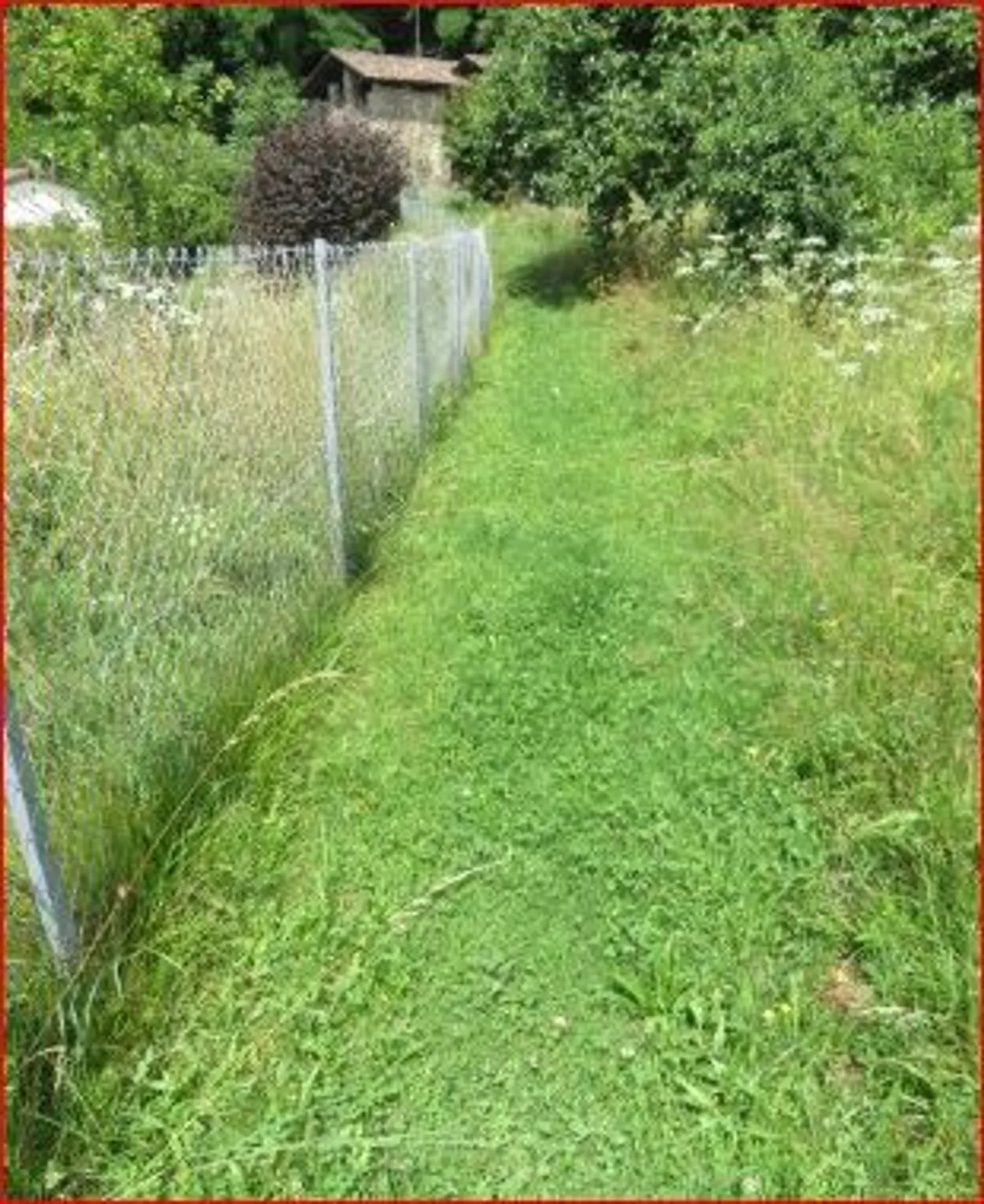 Single house for sale - Photo 3 of 13