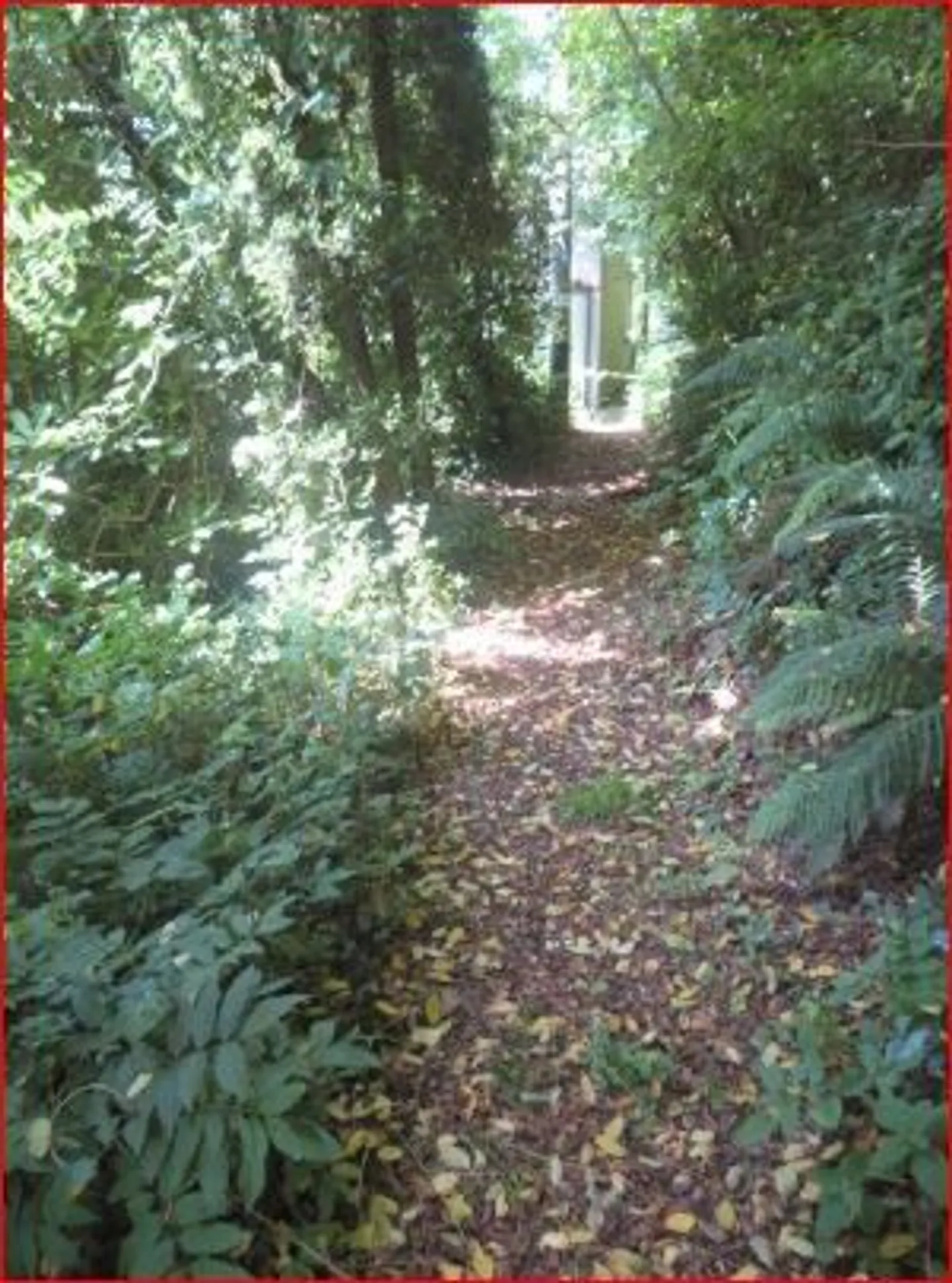 Single house for sale - Photo 6 of 13