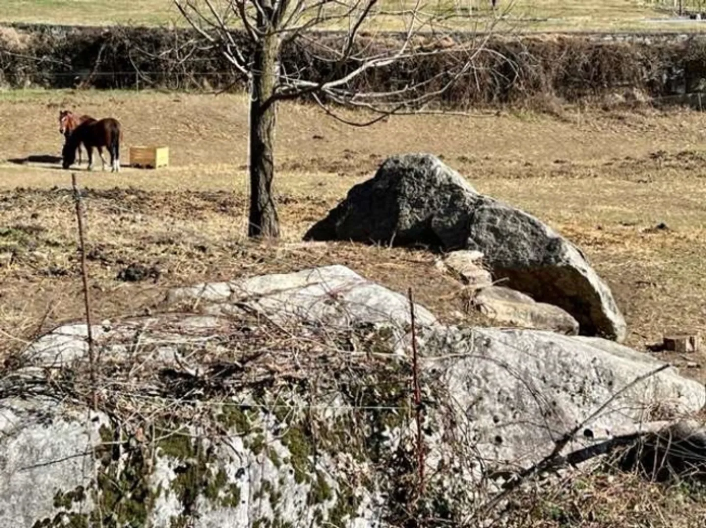 Interesting flat building land - Photo 5 of 5