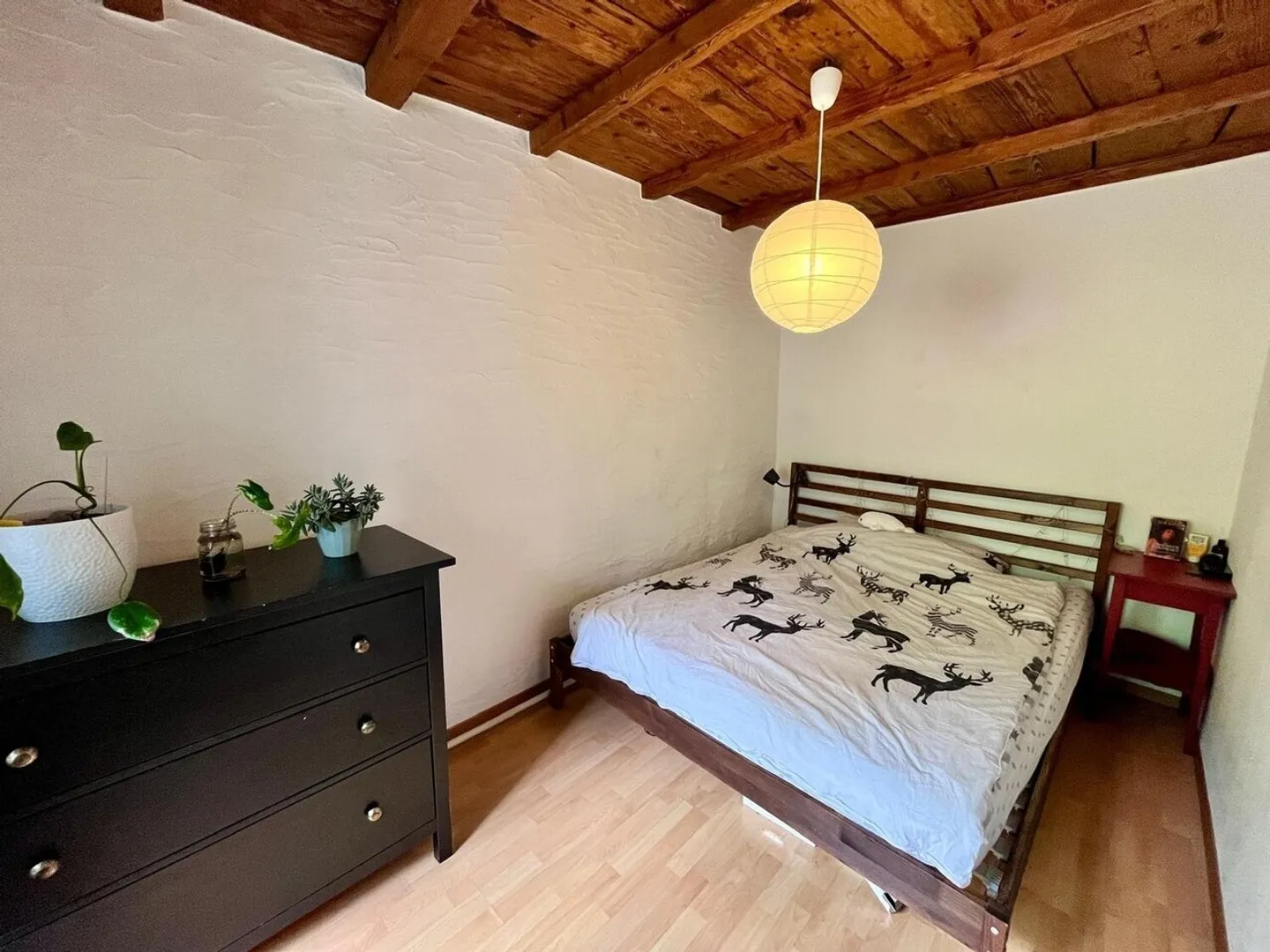 COZY LITTLE NEST - Photo 10 of 12