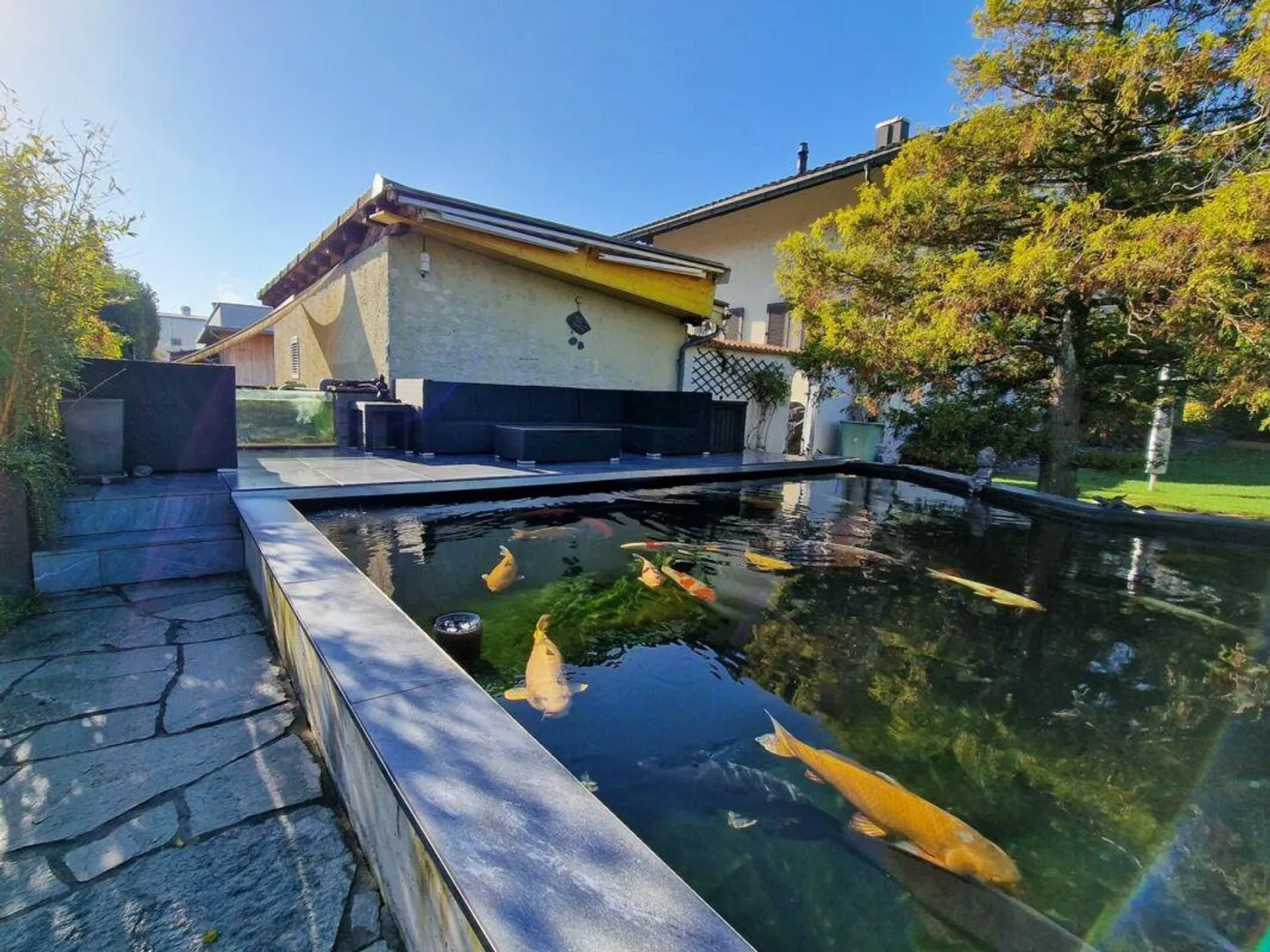 Incantevole casa unifamiliare con giardino d'inverno, laghetto per pesci/piscina e ampio spazio circostante - Foto 14 di 16