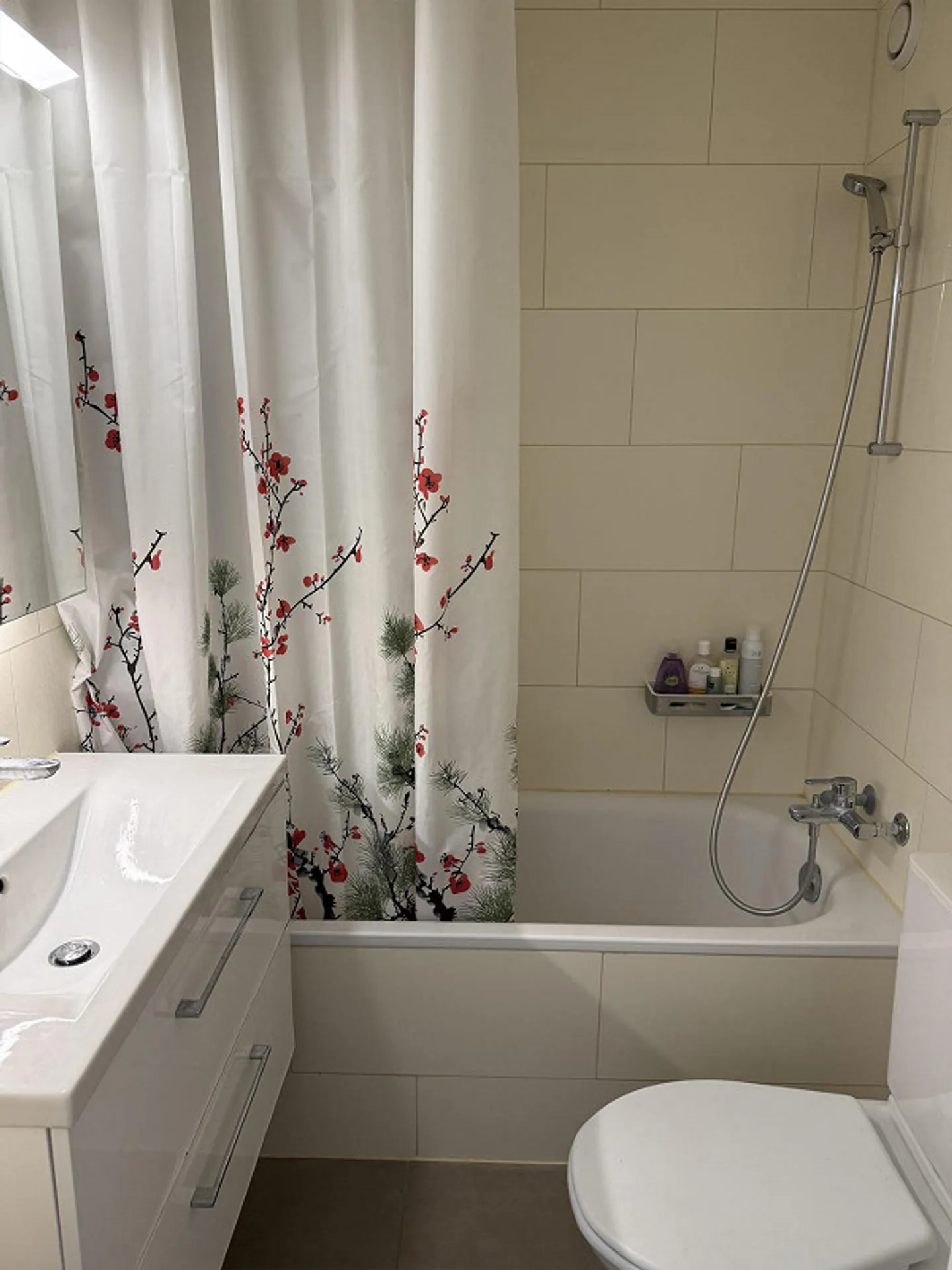 Appartement 1.5 pièces à Adliswil disponible à partir du 1er août 2026 - Photo 2 sur 10