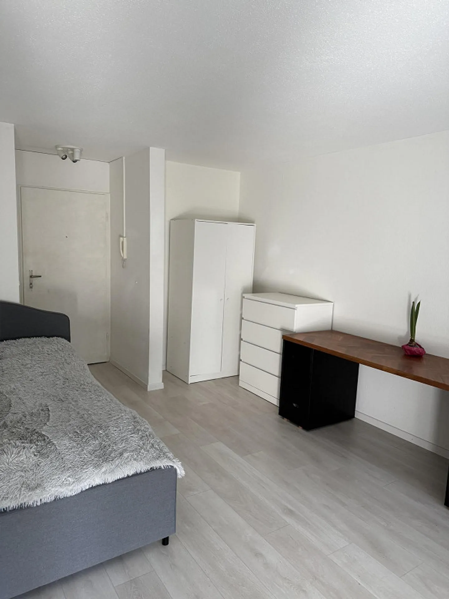 Appartement 1.5 pièces à Adliswil disponible à partir du 1er août 2026 - Photo 5 sur 10