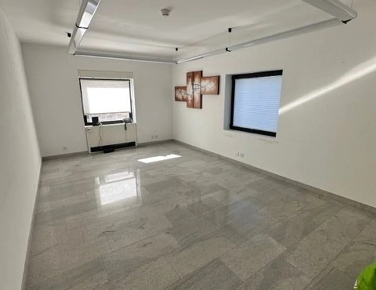 Offices in Paradiso - Photo 6 of 9