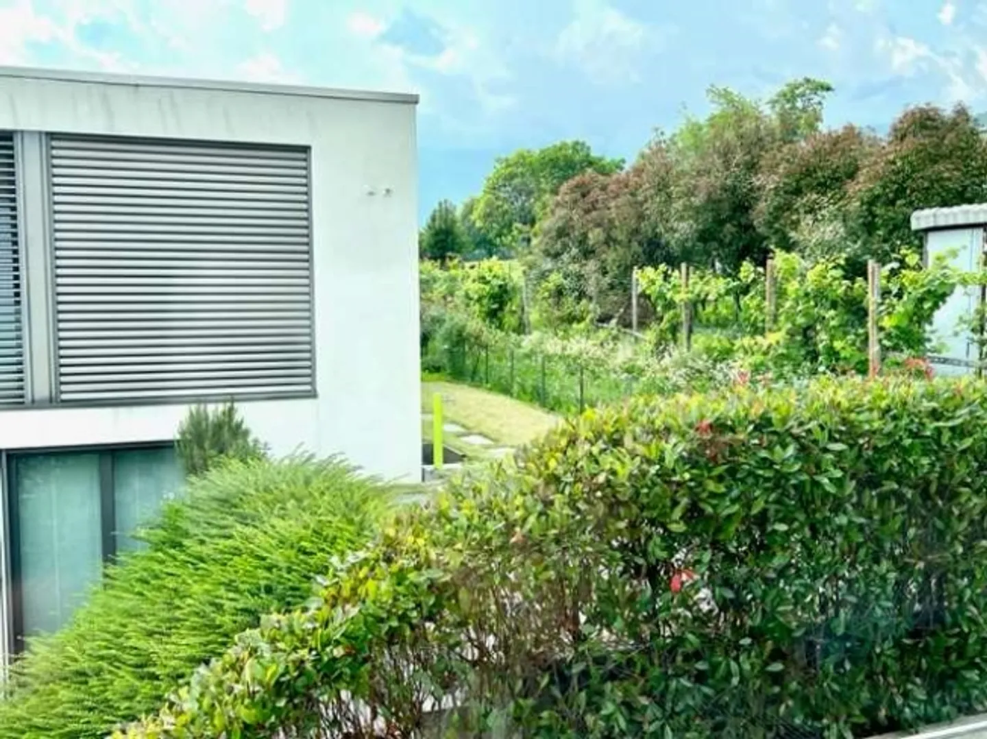 «Schöne 2,5-Zimmer-Wohnung in hohem Ansehen» - Foto 14 von 20