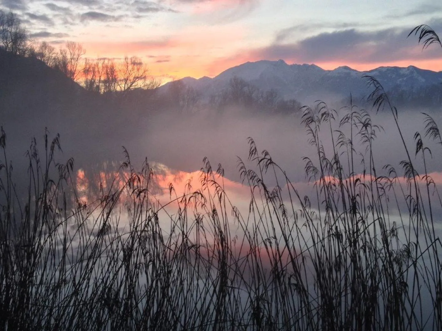 Bel appartement avec terrasse ensoleillée sur Bolle di Magadino - Photo 3 sur 29
