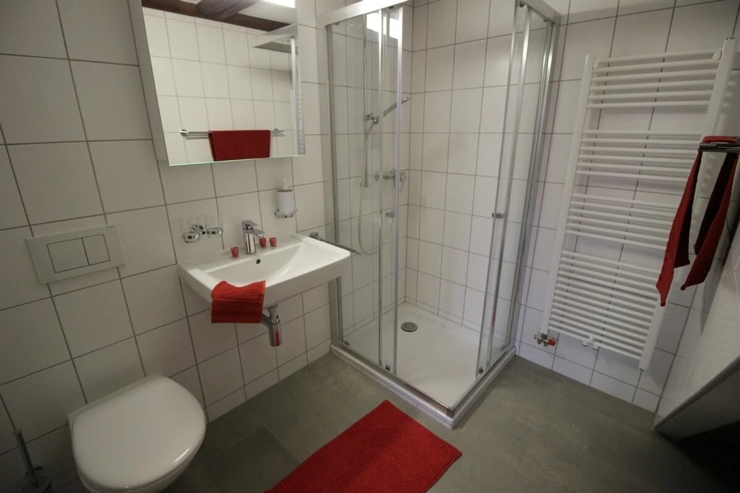 SUPERB AND SPACIOUS 2.5 ROOMS IN A RENOVATED FARM - Photo 12 of 13