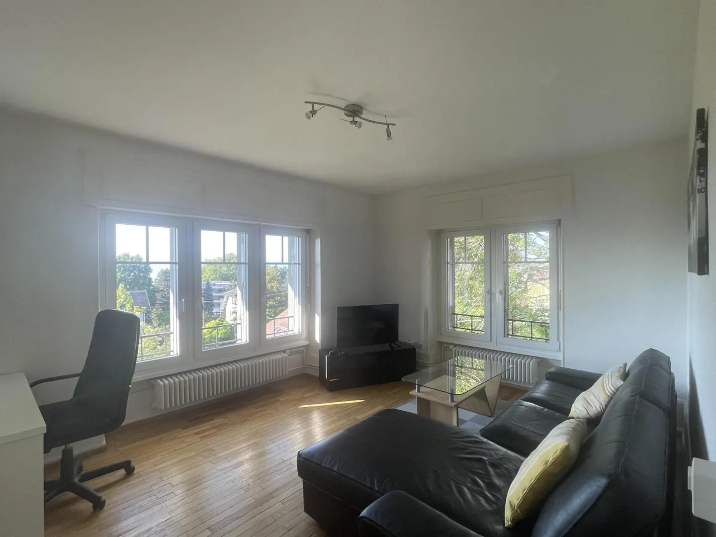 LARGE 2.5 ROOM FURNISHED WITH LAKE VIEW - Photo 1 of 7