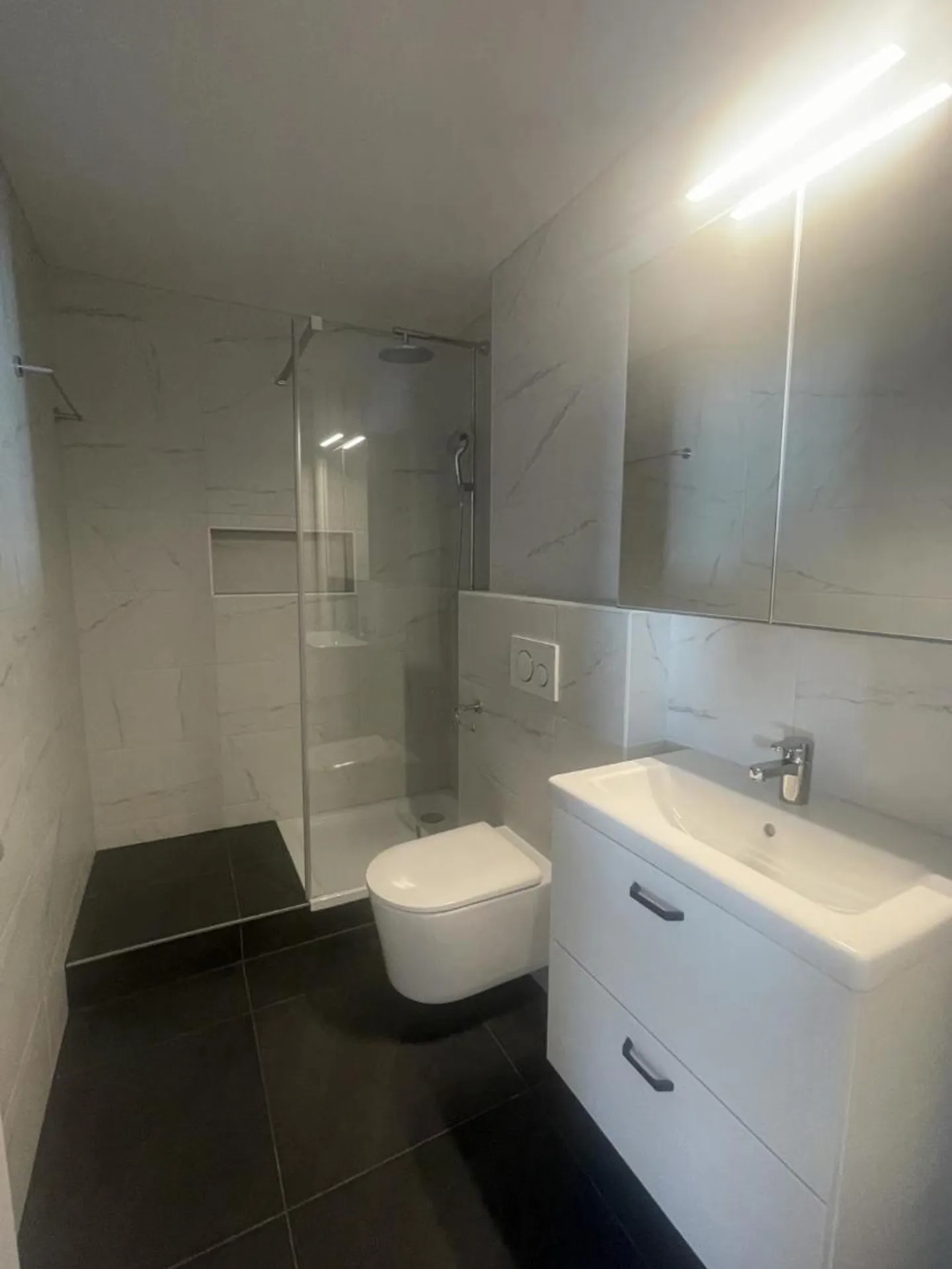 2.5 ROOM APARTMENT WITH LAKE VIEW AND CASTLE VIEW - Photo 8 of 8