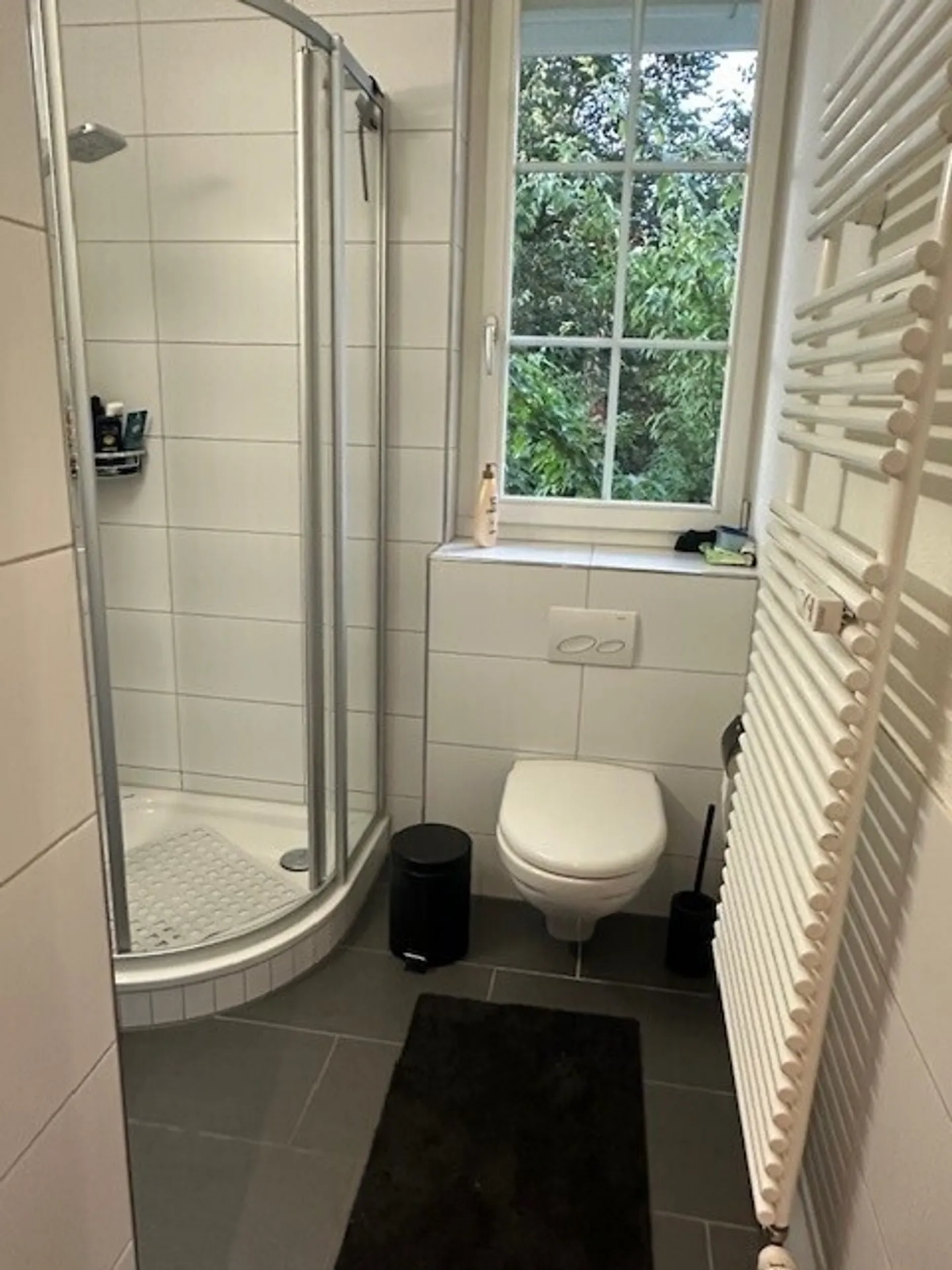 4½ ZI-WOHNUNG IN THUN (BE), MÖBLIERT, TEMPORÄR - Foto 7 von 9