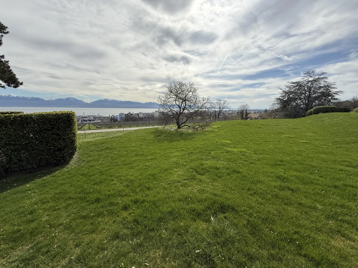 Penthouse for rent - Photo 11 of 11