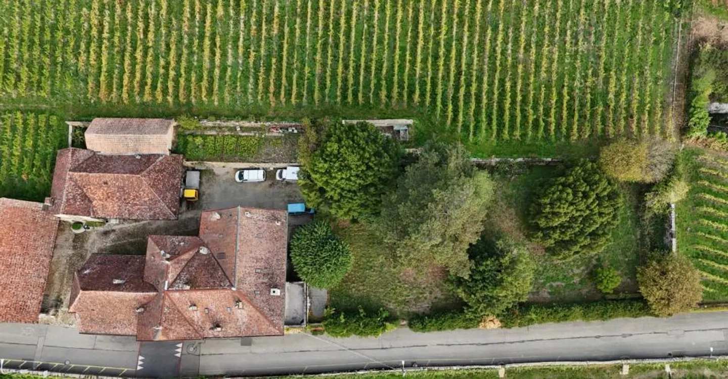 Domaine de Champréveyres: Opportunités multiples avec vue lac - Foto 12 von 12