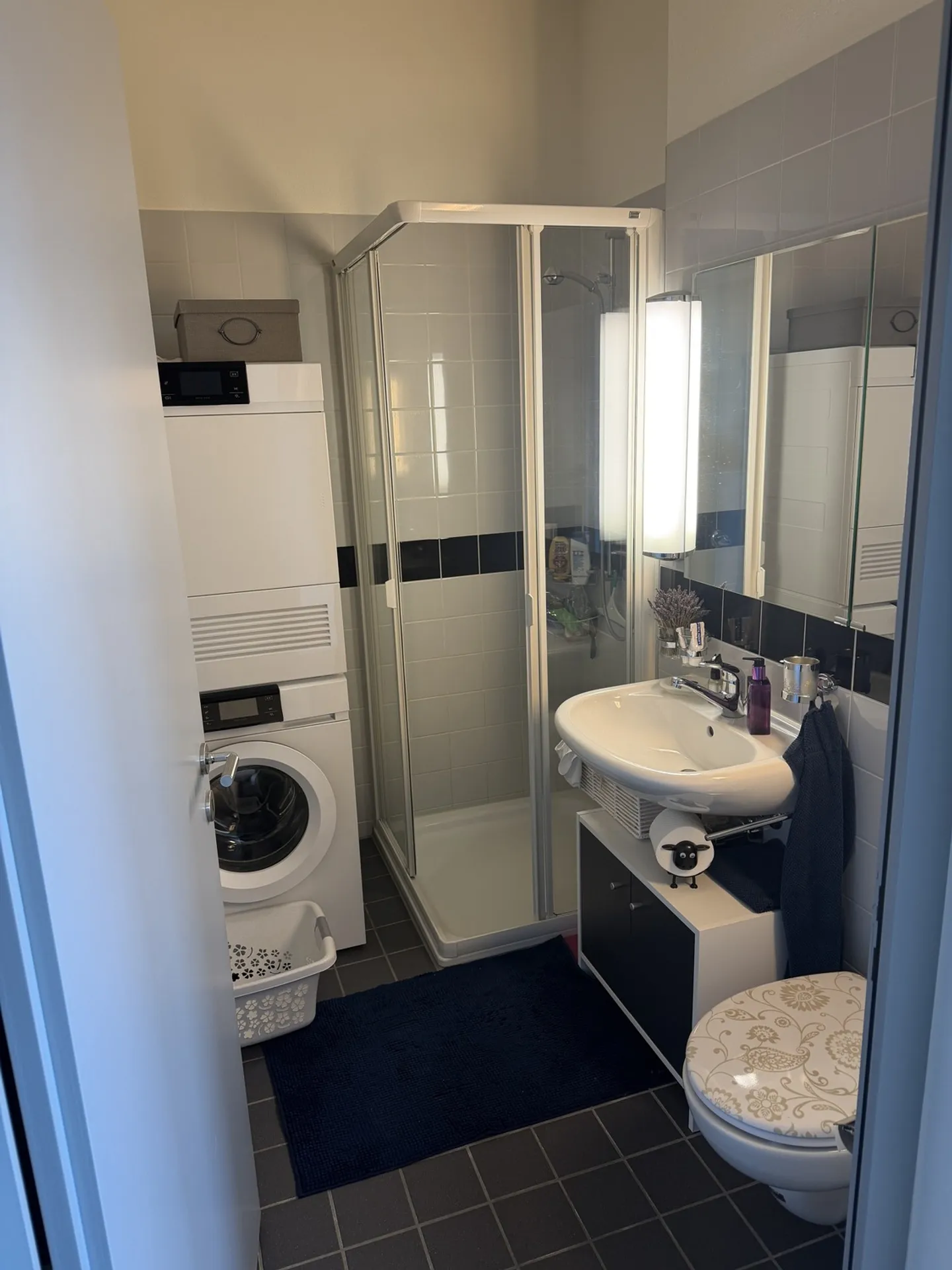 Modern Apartment with Lake View - Photo 8 of 10